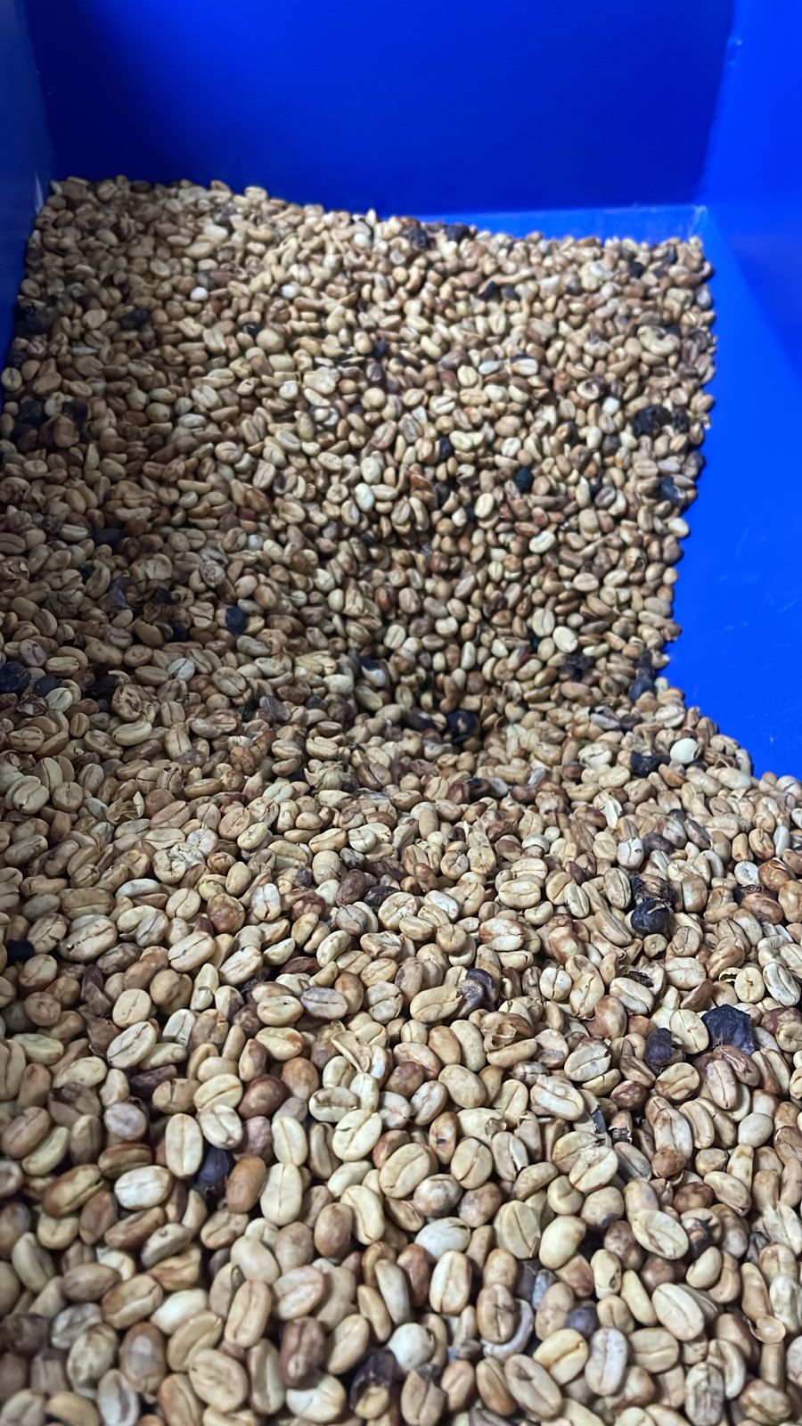 Coffee beans